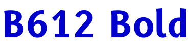 B612 Bold フォント